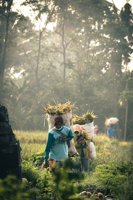 Unsplash